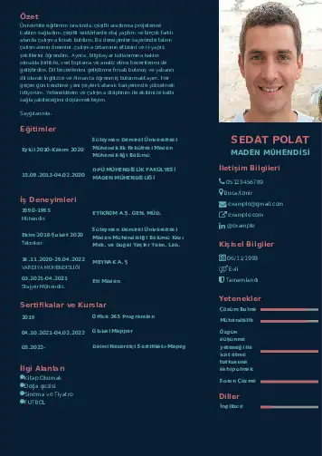 Maden Mühendisi Cv Örnekleri cv indir